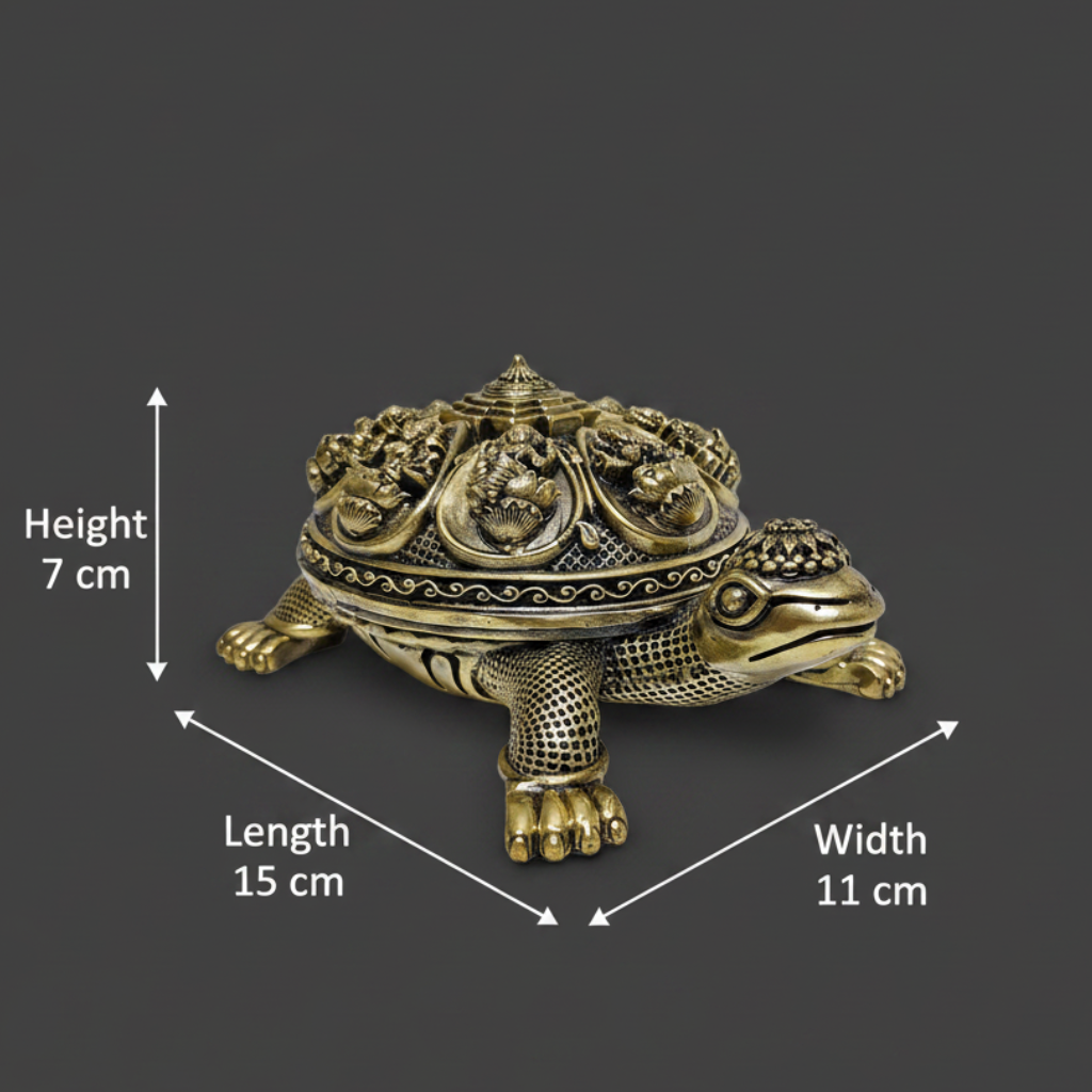 Tortoise Dimension Shot - Image 7